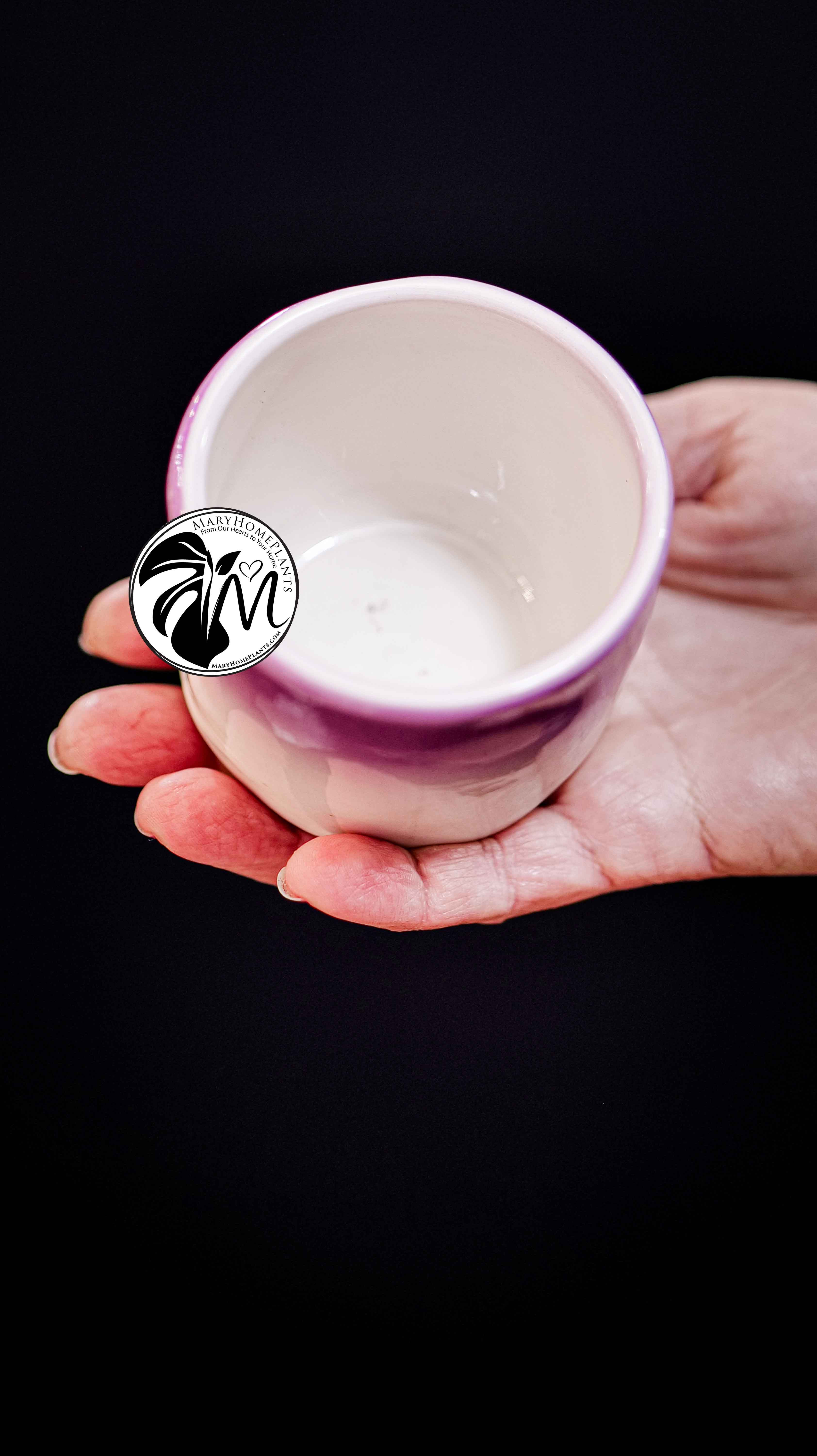 Deco Ceramic Pot 6Ø 10cm