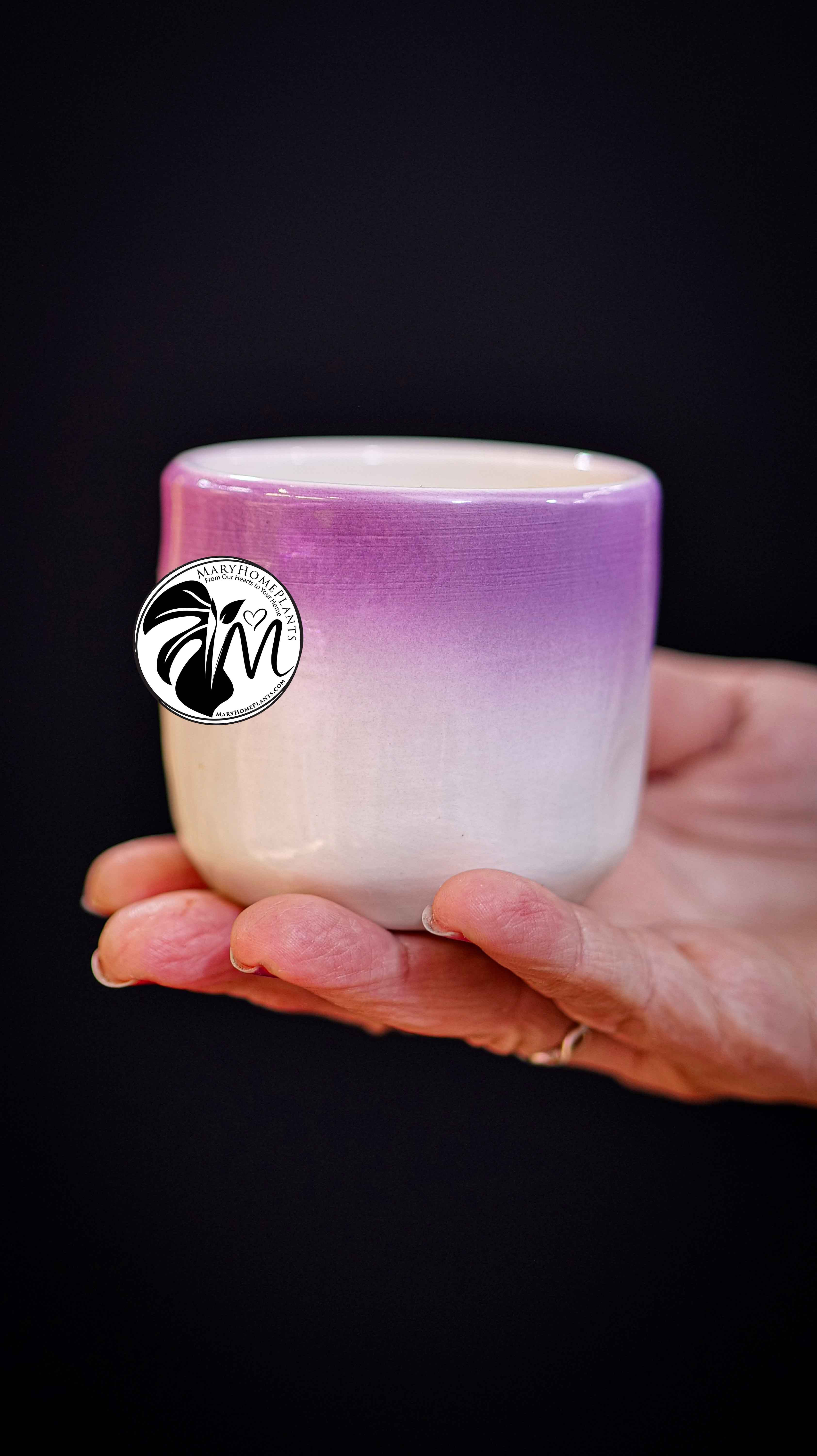 Deco Ceramic Pot 6Ø 10cm