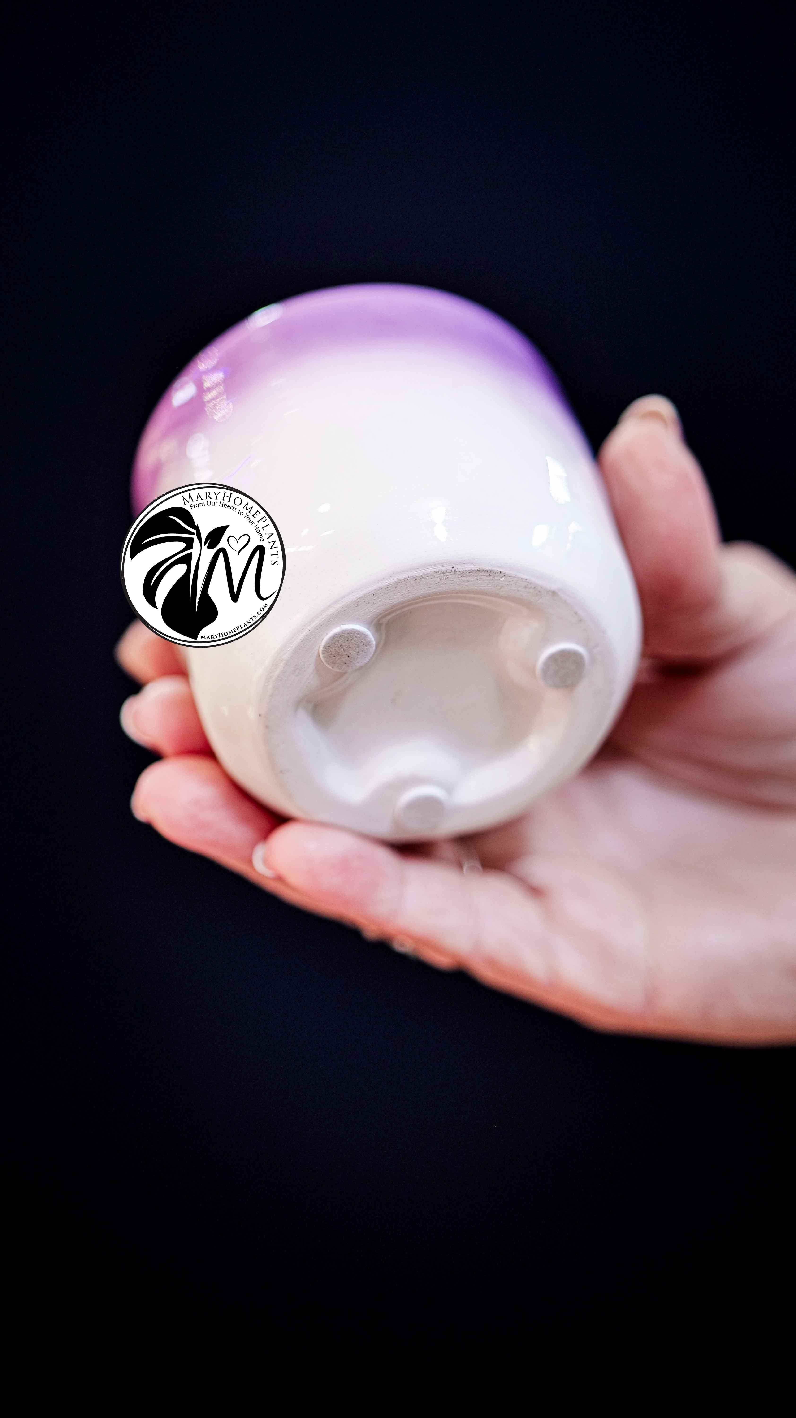 Deco Ceramic Pot 6Ø 10cm