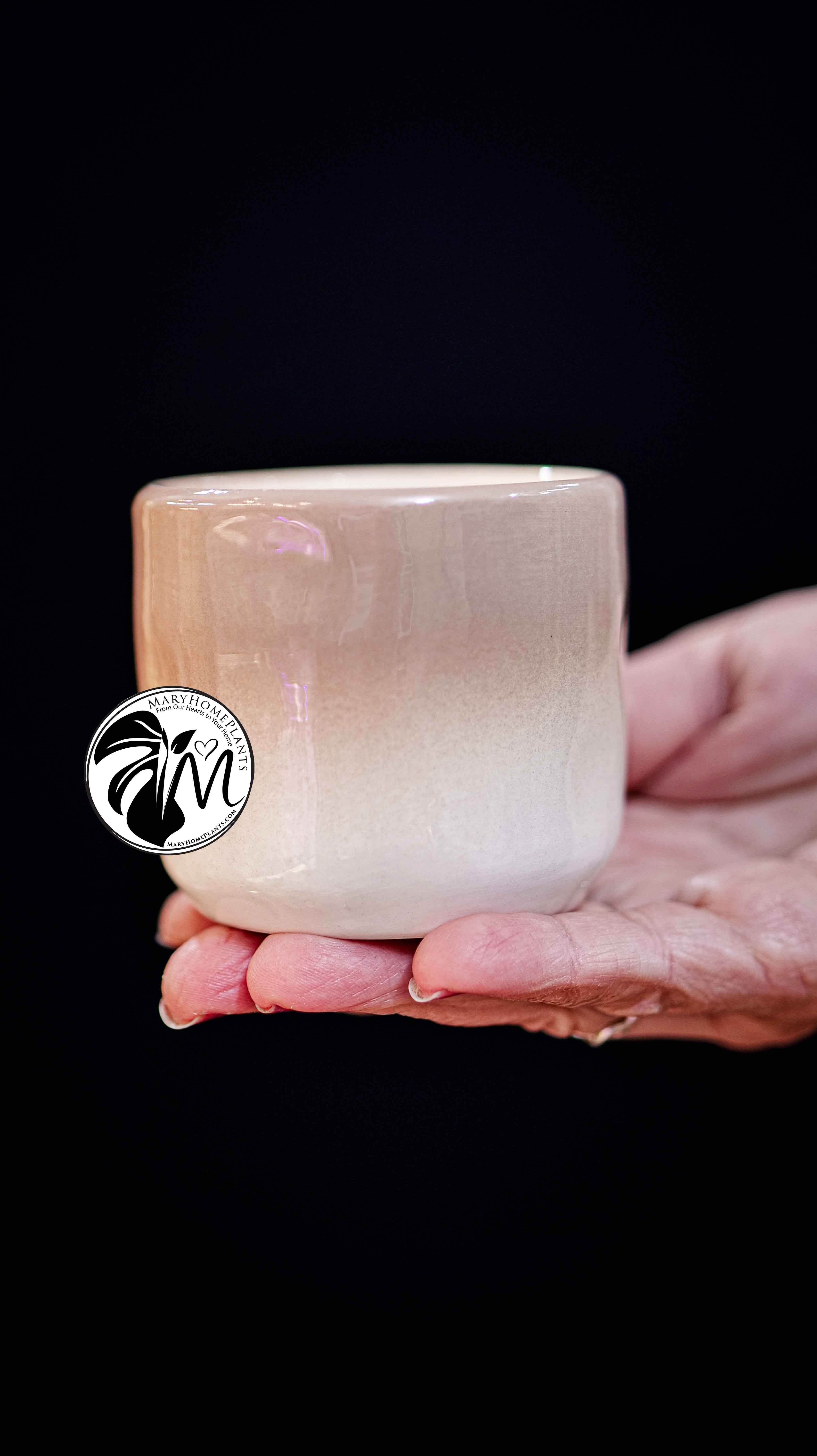 Deco Ceramic Pot 6Ø 10cm