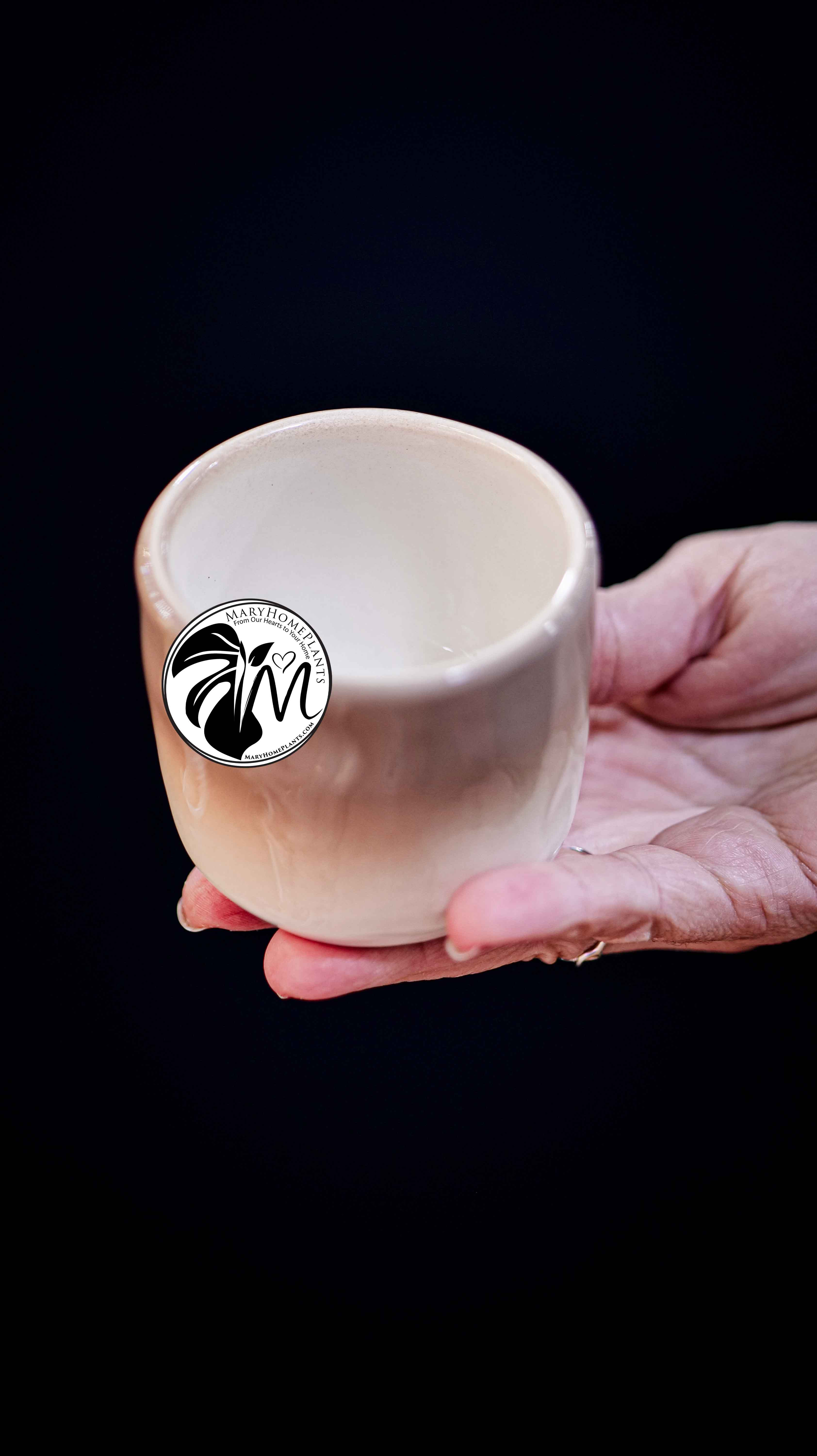 Deco Ceramic Pot 6Ø 10cm