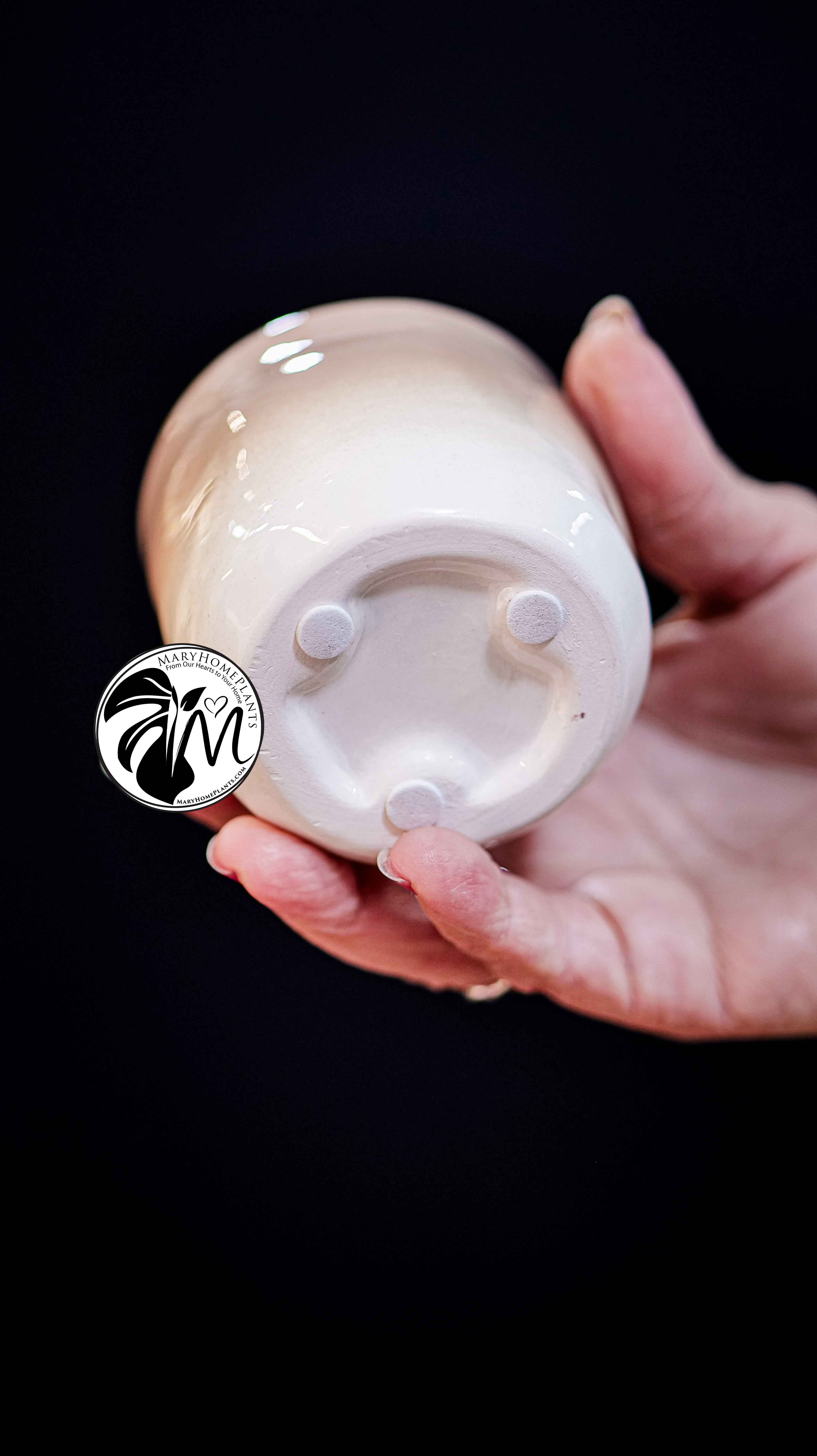 Deco Ceramic Pot 6Ø 10cm