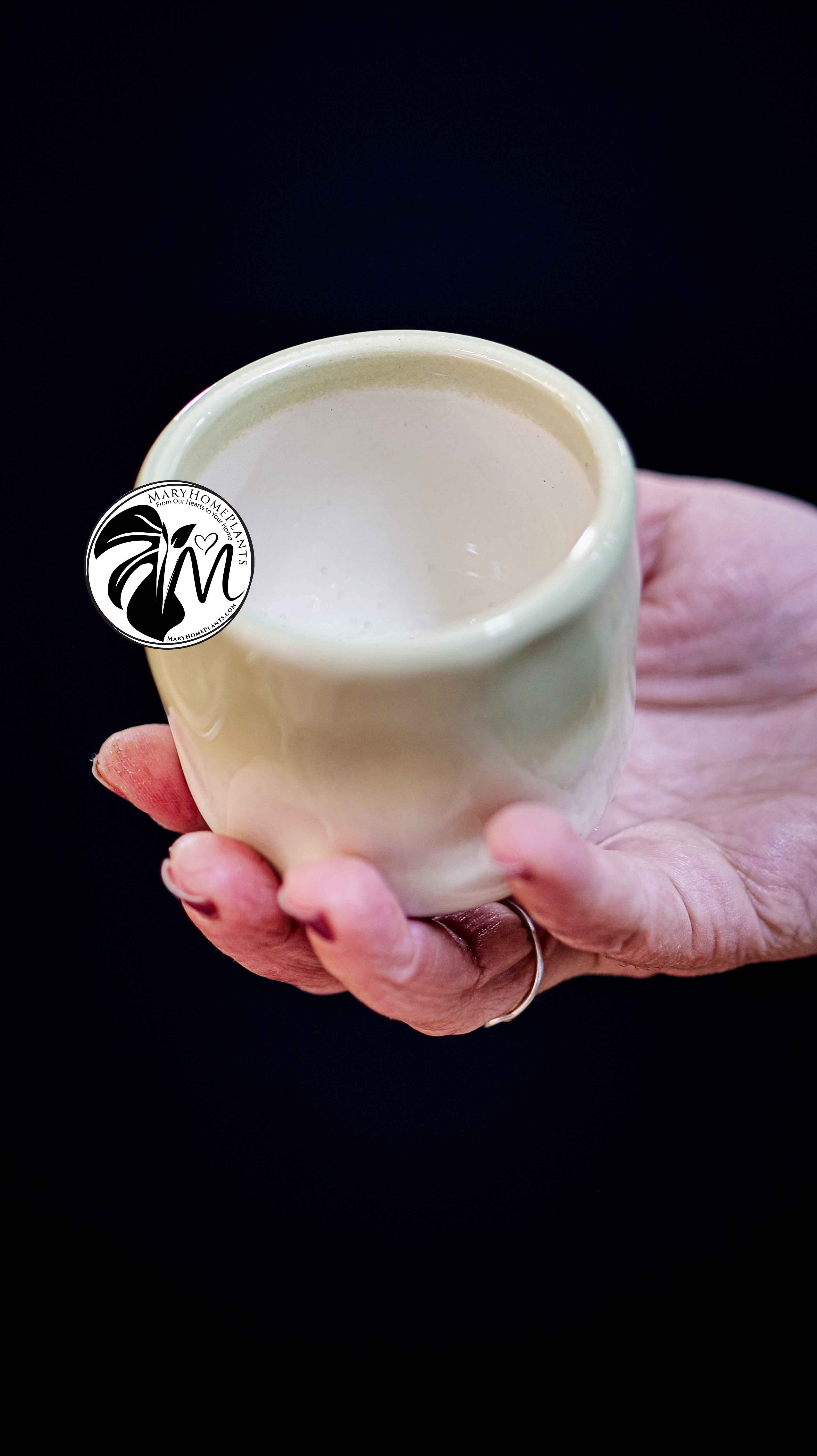 Deco Ceramic Pot 6Ø 10cm