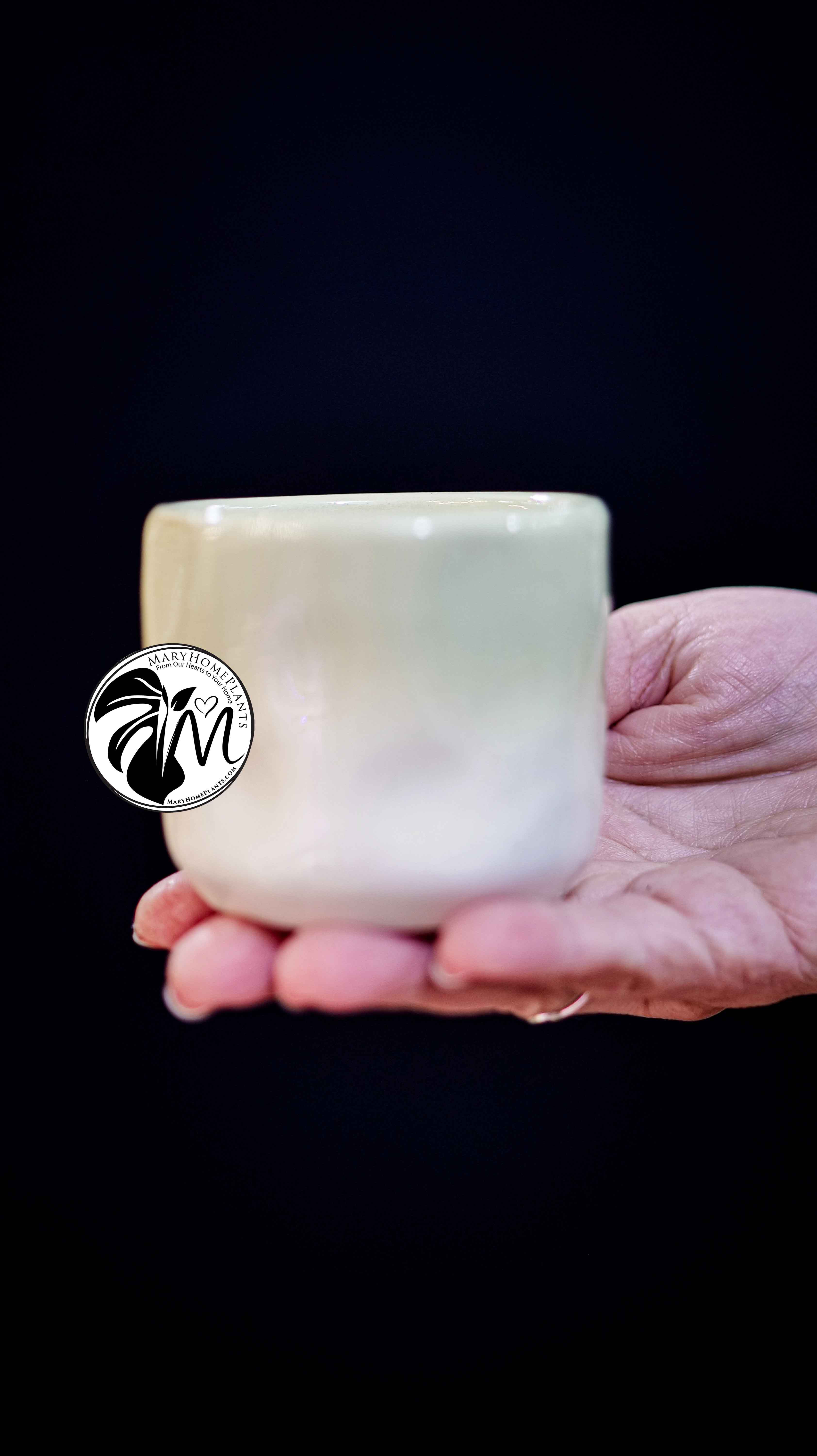 Deco Ceramic Pot 6Ø 10cm