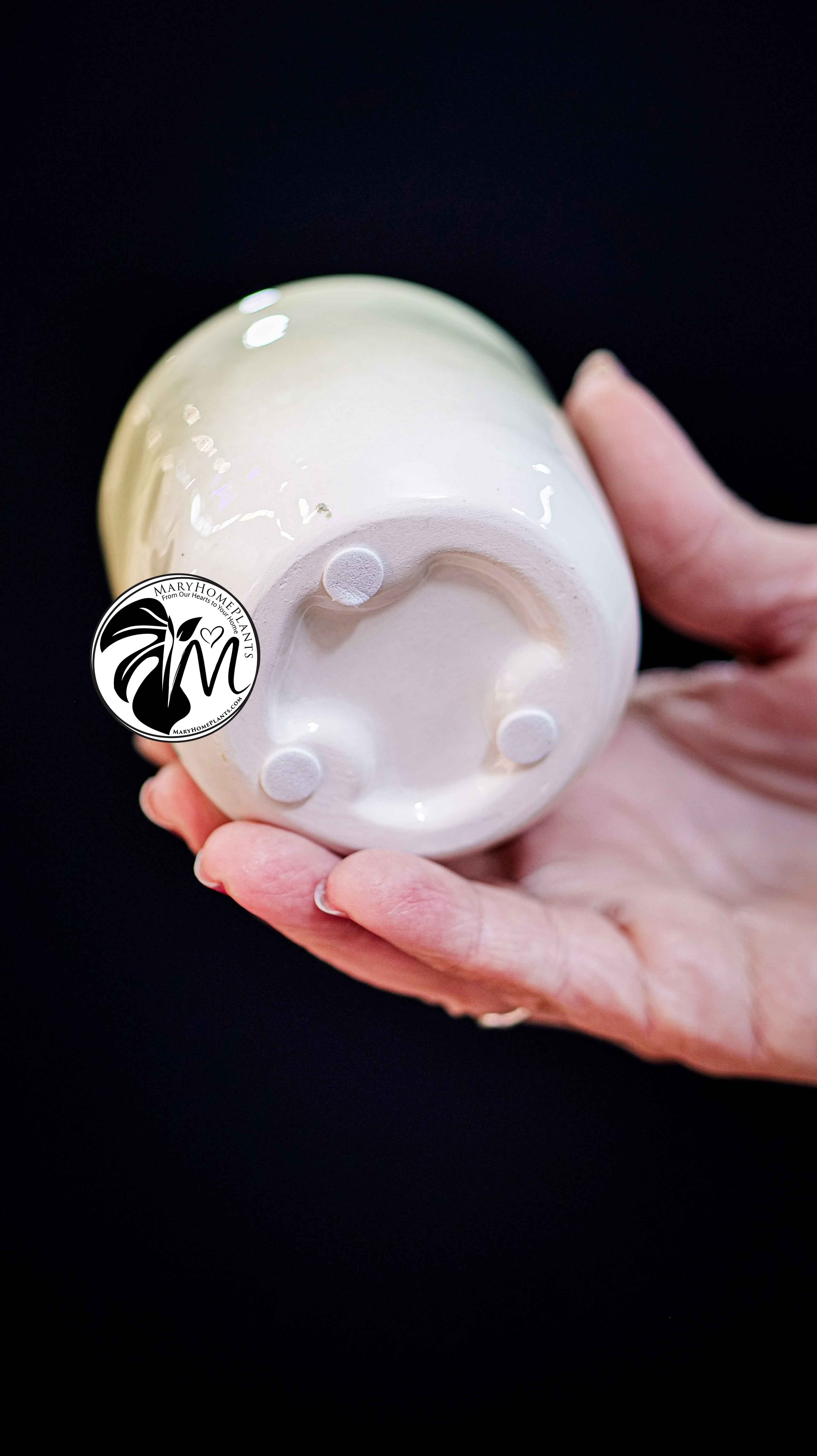 Deco Ceramic Pot 6Ø 10cm