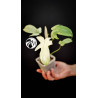 Philodendron Florida Ghost