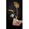 Alocasia Regal Shields