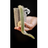 Cleistocactus Colademononis (Monkey's Tail)