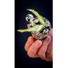 Hoya Burmanica Variegated