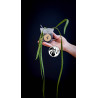 Rhipsalis Paradoxa Minor