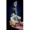 Hoya Mathilde Splash