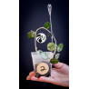 Hoya Mathilde Splash