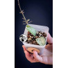 Hoya Mathilde Splash