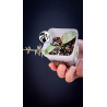 Hoya Mathilde Splash