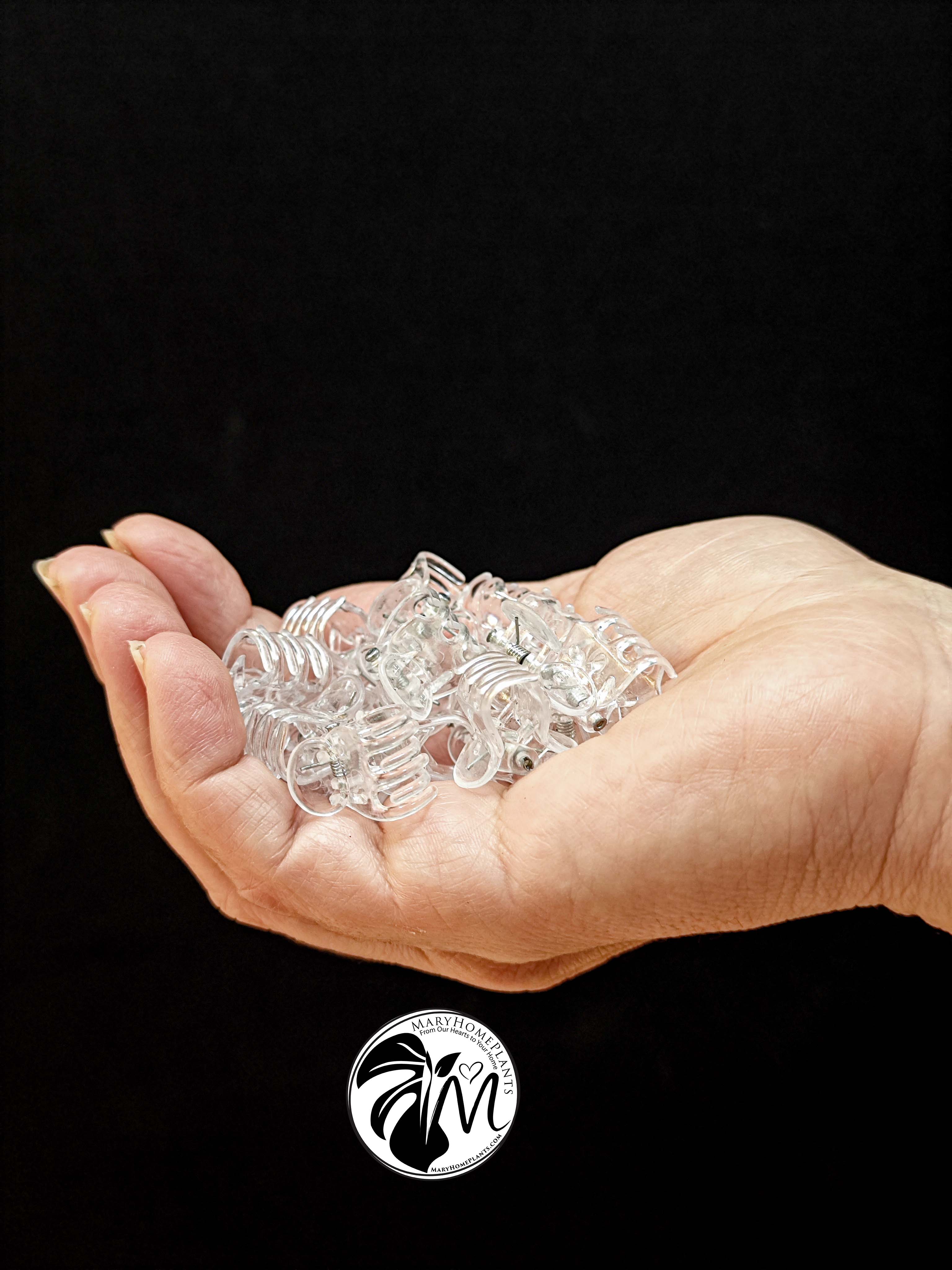 15pcs plant orchid clips transparent