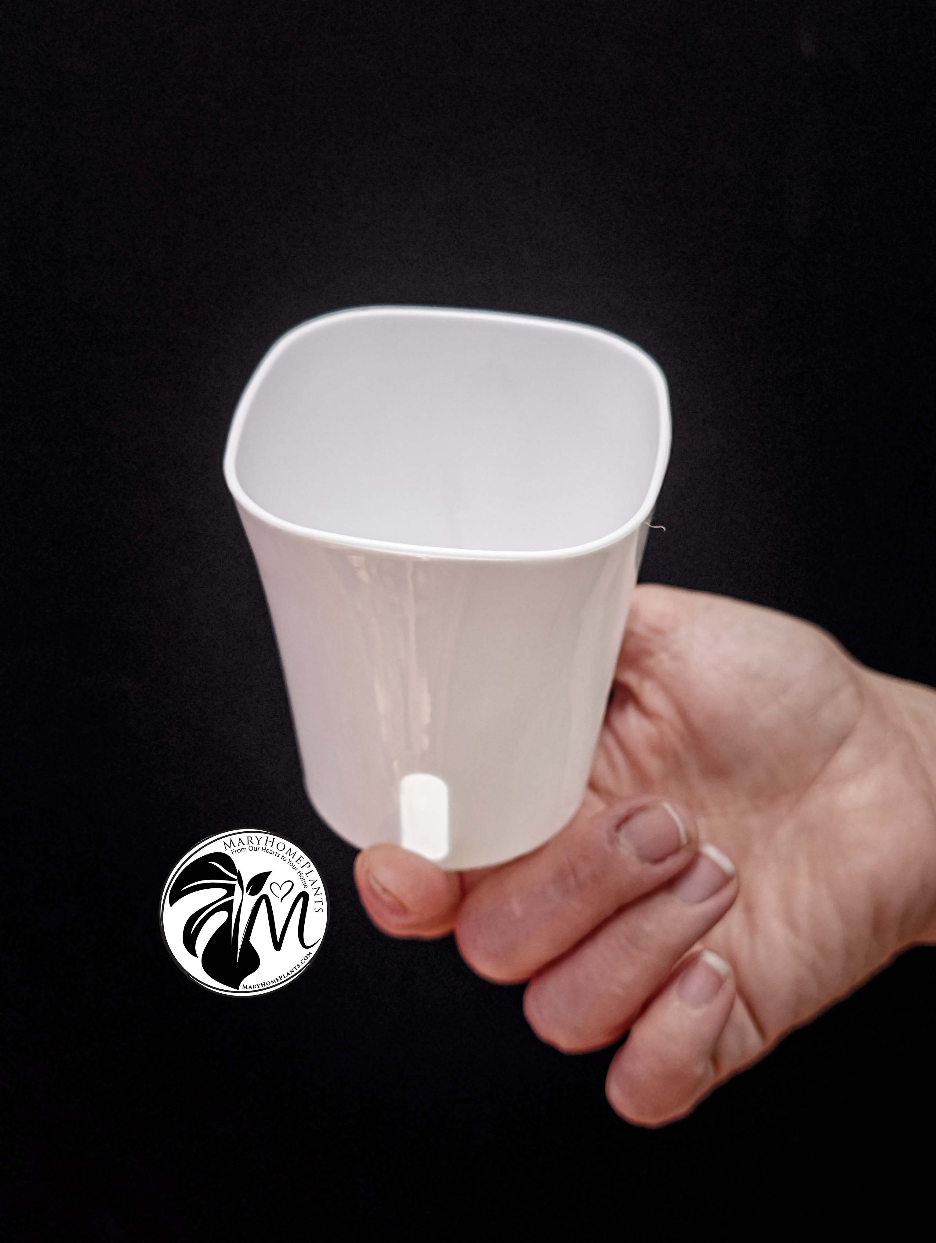 hanging inverted plastic pot 9.5cm black (copy)